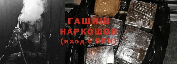 гидра Кодинск