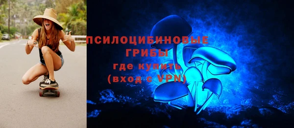 гидра Кодинск