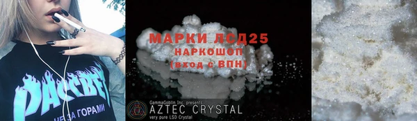 гидра Кодинск