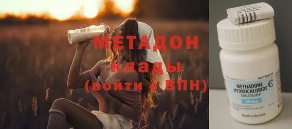 гидра Кодинск