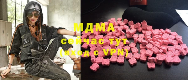 гидра Кодинск