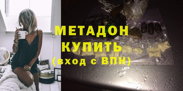 гидра Кодинск