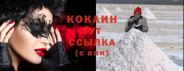 гидра Кодинск
