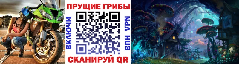 Псилоцибиновые грибы Psilocybine cubensis  Купить закладки  Пущино 